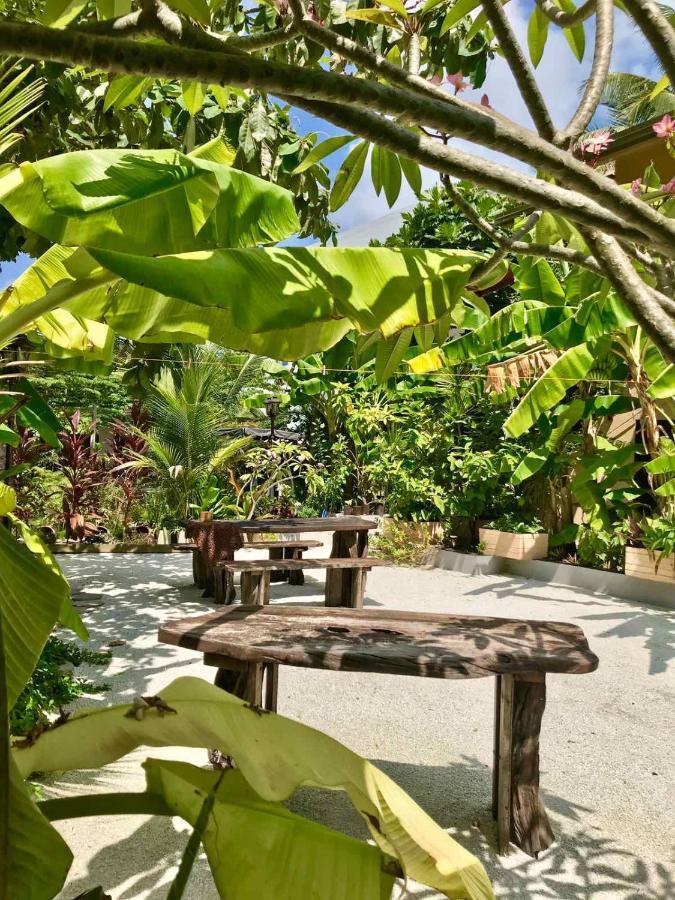 Daisy Cottage Dhangethi Extérieur photo
