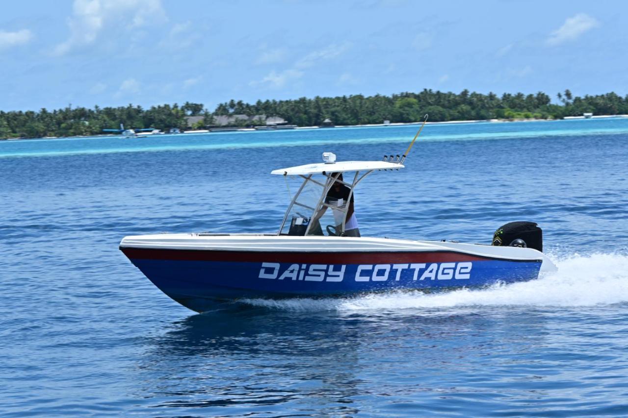 Daisy Cottage Dhangethi Extérieur photo