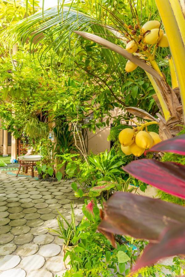 Daisy Cottage Dhangethi Extérieur photo